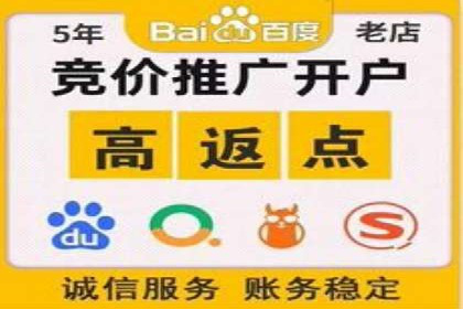 SEM服务公司经典案例集锦